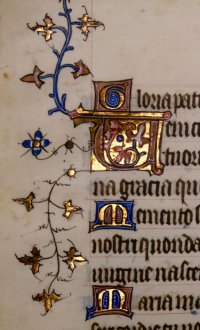 Ivy Vines with gilded leaves. French Book of Hours leaf.