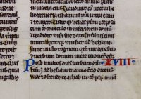 Tiny French manuscript Bible leaf, c. 1250.