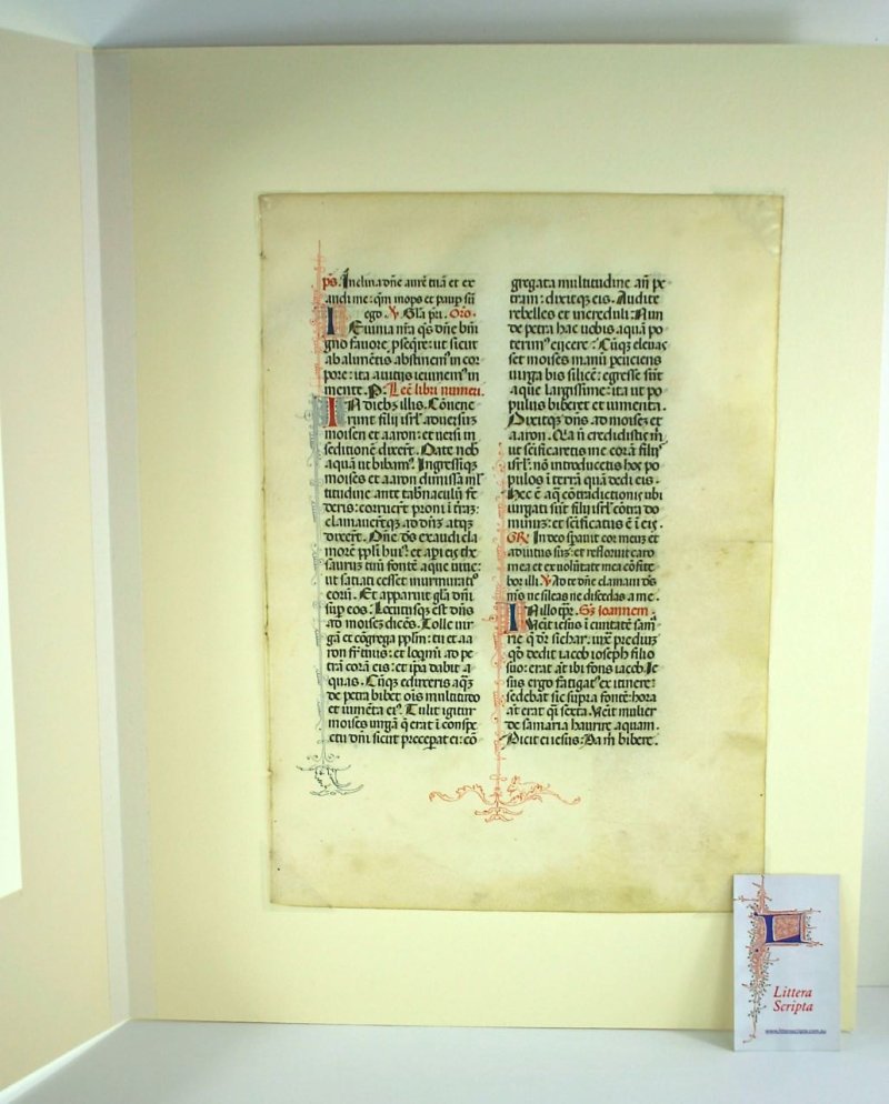 Manuscript vellum Missal leaf, c.1475. Comic marginalia. - Click Image to Close