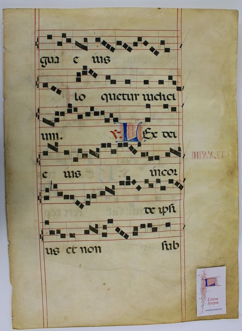 Large Spanish Gregorian chant leaf, c. 1525 - Click Image to Close