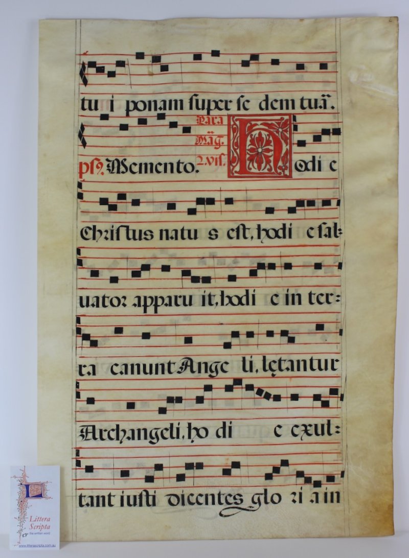 Antiphon for Christmas Day. Gregorian Chant leaf, c.1600, Spain. - Click Image to Close