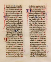 Italian decorated manuscript Breviary leaf, c.1460.