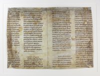 A remarkable manuscript bifolium from the turn of the twelfth century. Gregory the Great’s letters in a clear, precise Carolingian script.