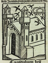 Ibis, falcon & swallows woodcuts, 1497.