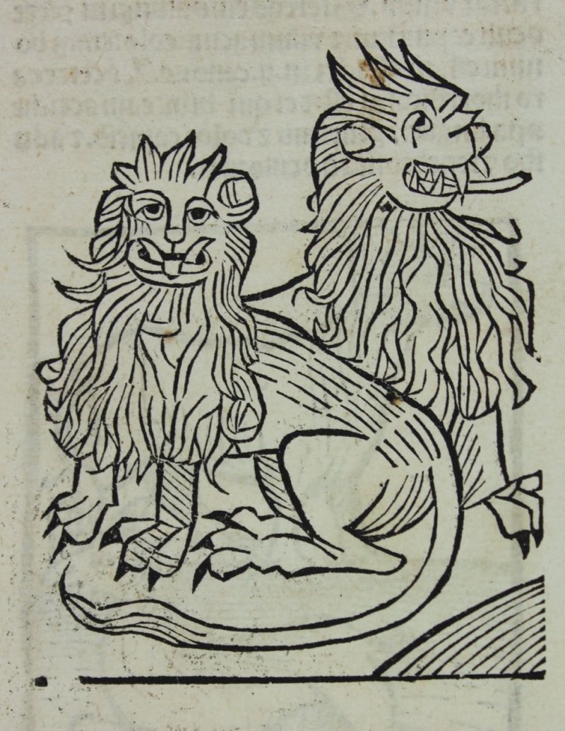 Lions, Llamas, Lizards woodcuts . c. 1497 incunabler leaf - Click Image to Close