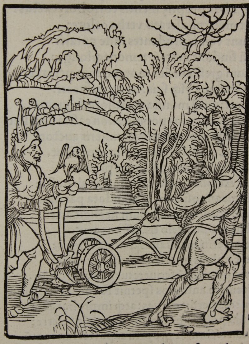 Albrecht Dürer woodcut. The Ship of Fools incunable leaf, 1497 edition. - Click Image to Close
