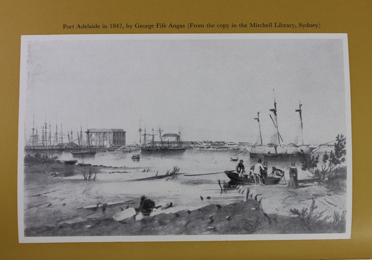 Gold Fleet for California. 49ers from Australia & New Zealand. - Click Image to Close