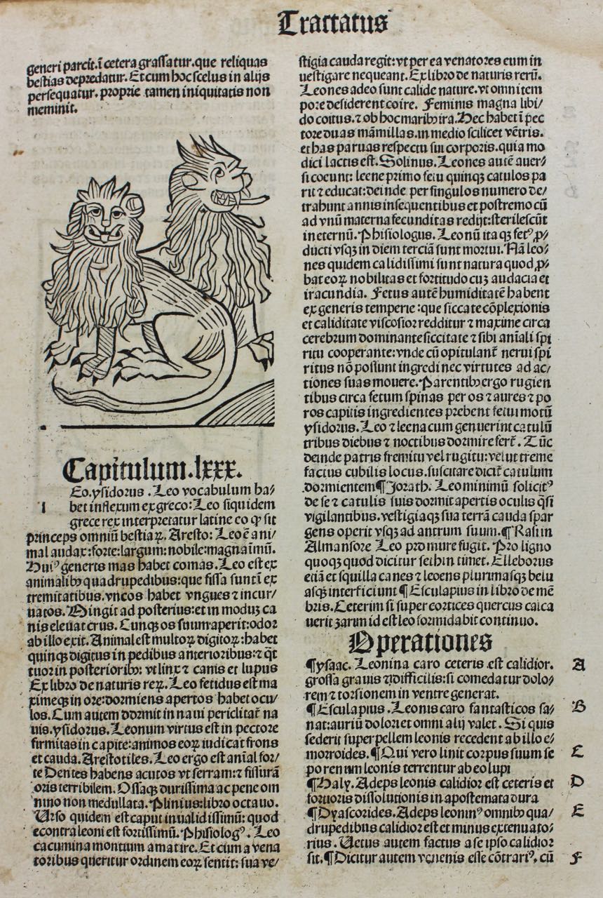 Lions, Llamas, Lizards woodcuts . c. 1497 incunabler leaf - Click Image to Close