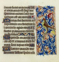 Dragon/Bird hybrid. Book of Hours leaf, 1465, France
