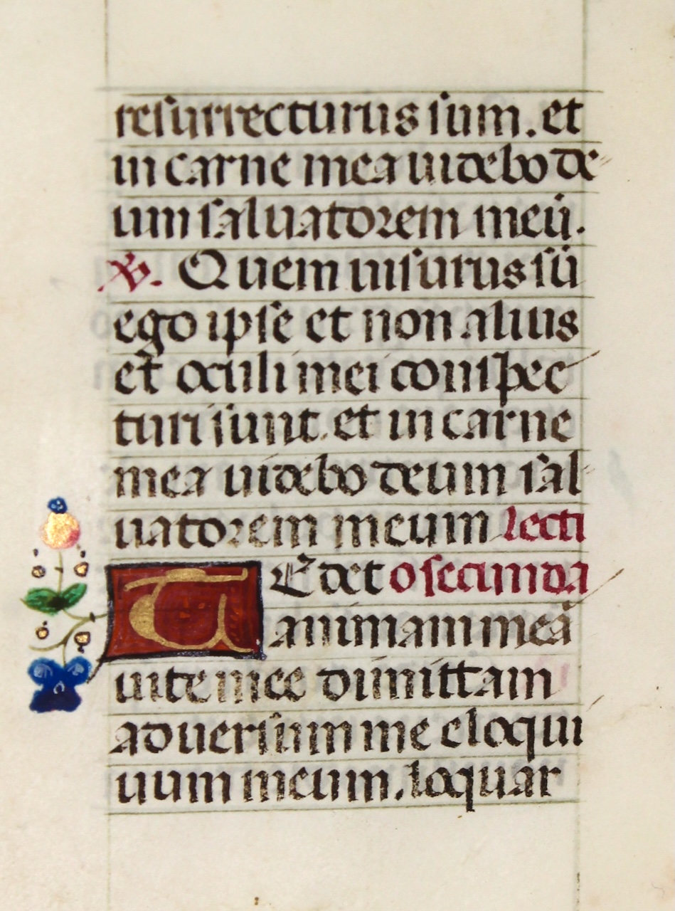 Tiny illuminated leaf from a medieval lady's Book of Hours. France, c.1475. Tiny illuminated leaf from a medieval lady's Book of Hours. France, c.1475.